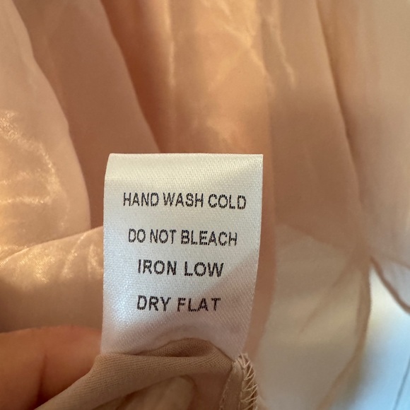 Lizard Thicket Blush Sheer Dress - Picture 6 of 6